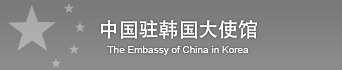 중국영사관 홈페이지